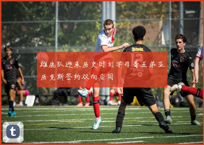 雄鹿队迎来历史时刻字母哥五弟亚历克斯签约双向合同